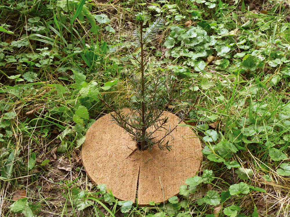 Kokos-Nadelfilz Mulchplatte