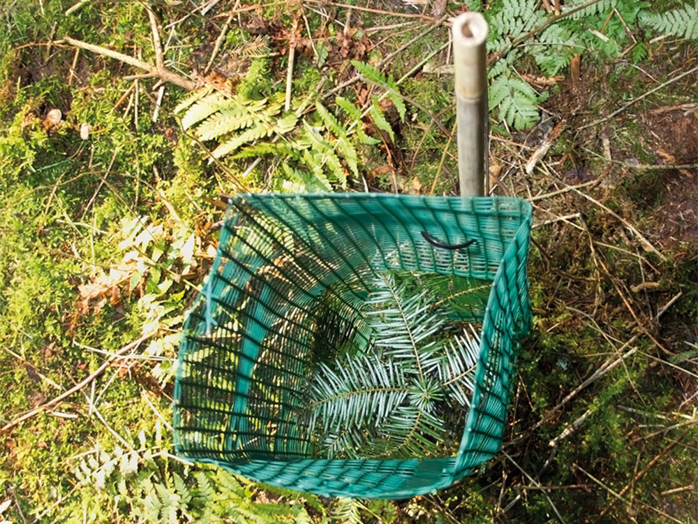 Plant Saver® "FREIWUCHSGITTER HQ"