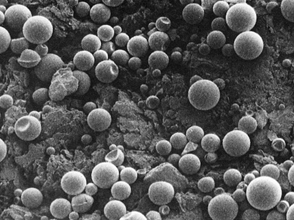 KARATE® FORST Mikrokapseln