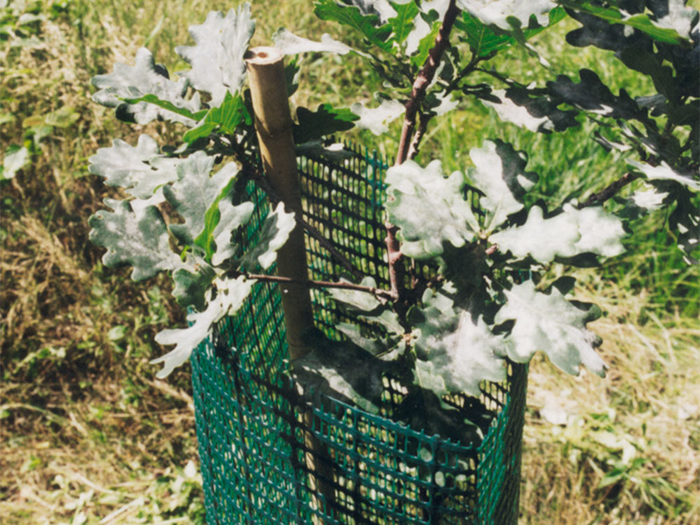 Plant Saver Netzhülle PRIMAKLIMA 220