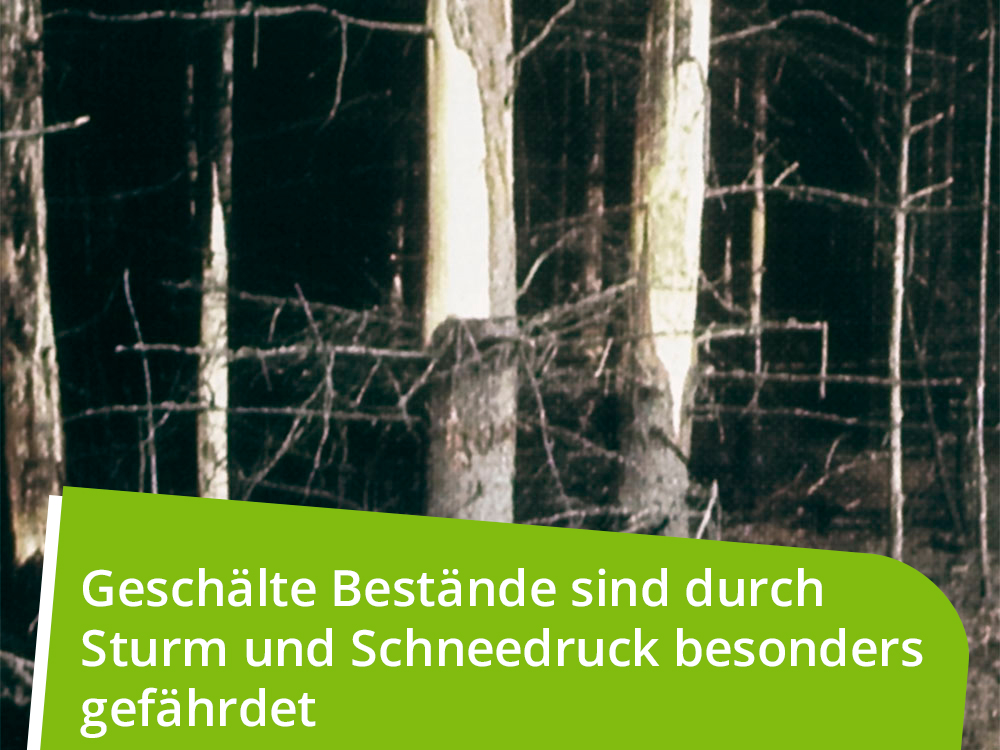 WÖBRA®  mechanischer Langzeitschälschutz