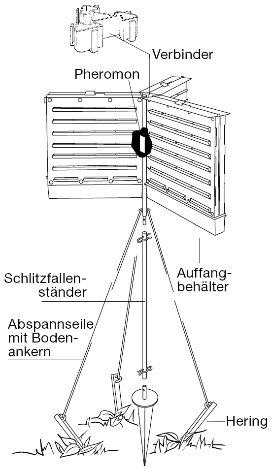 Ersatzheringe (Bodenanker) für Abspannseile Fallenständer
