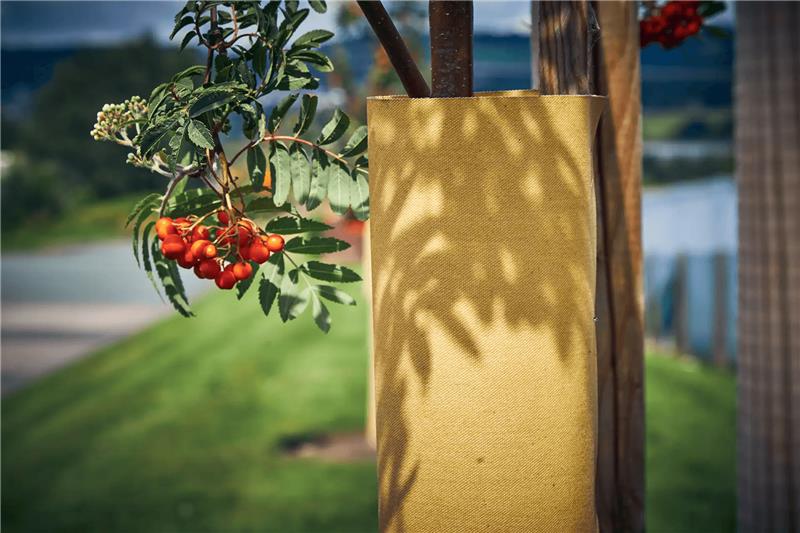 Tree Hugger Wuchshülle