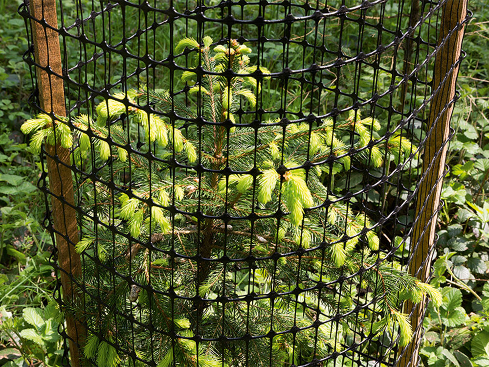 Plant Saver "Freiwuchsgitter RETE 600"