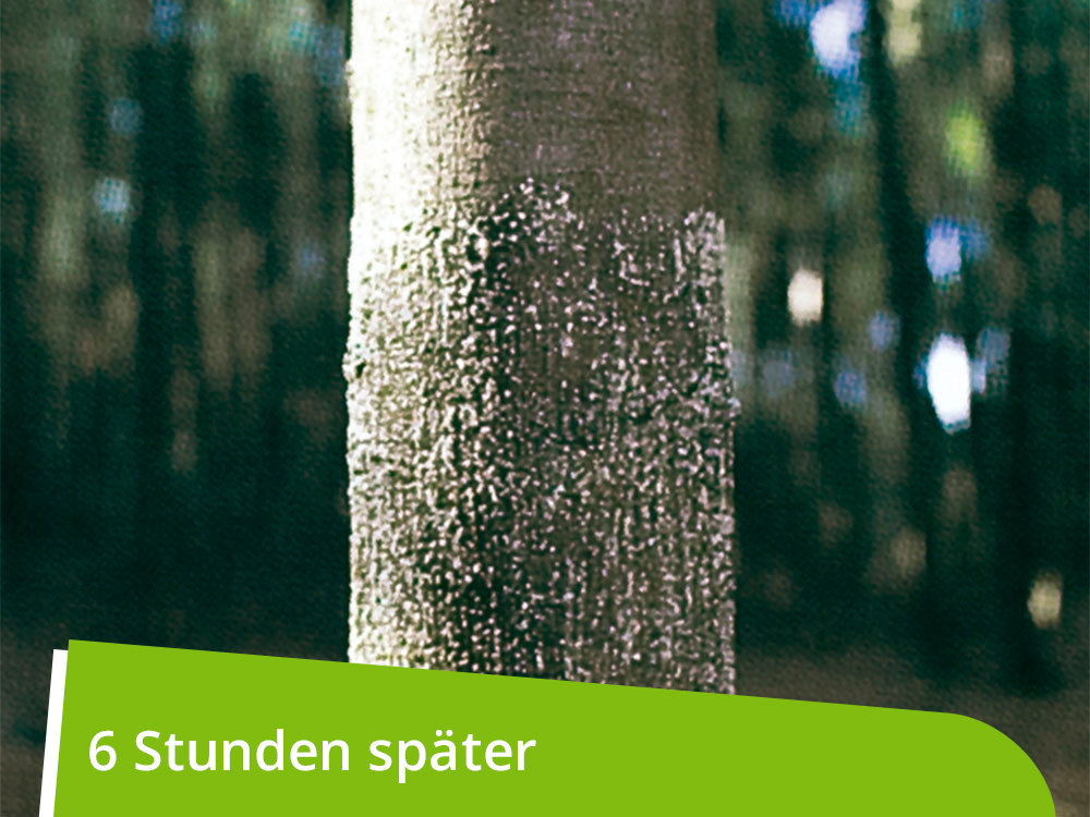 WÖBRA®  mechanischer Langzeitschälschutz