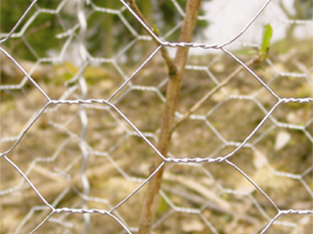 PLANT SAVER® Baumschützer aus Sechseckgeflecht