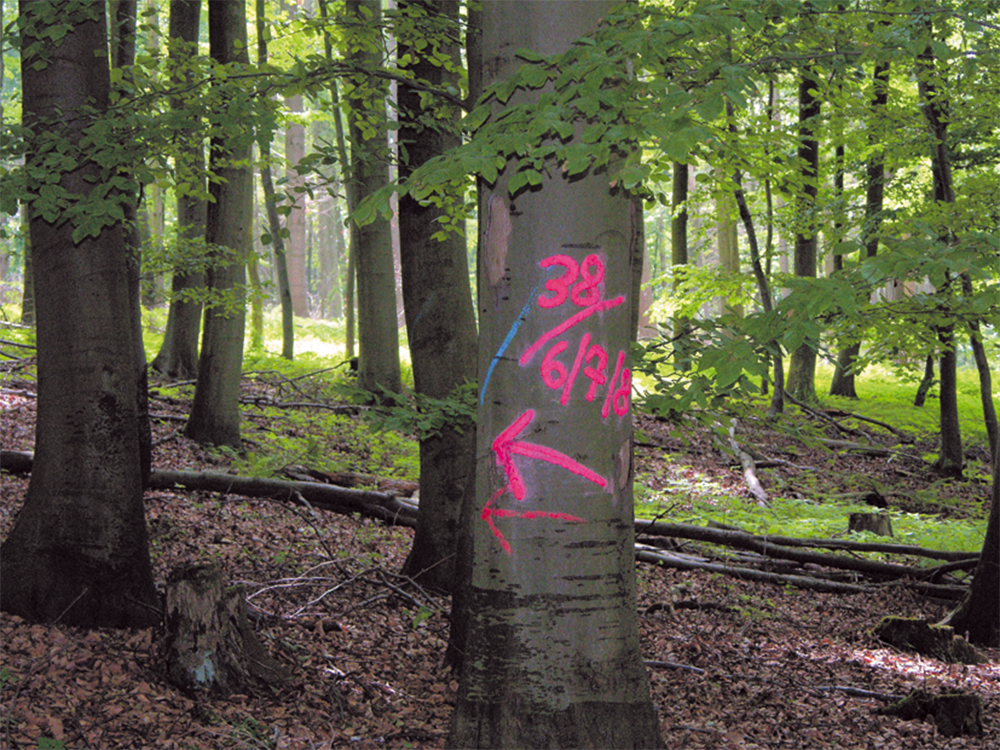 SELECT - Standardmarker (Leucht-Signierfarbe)