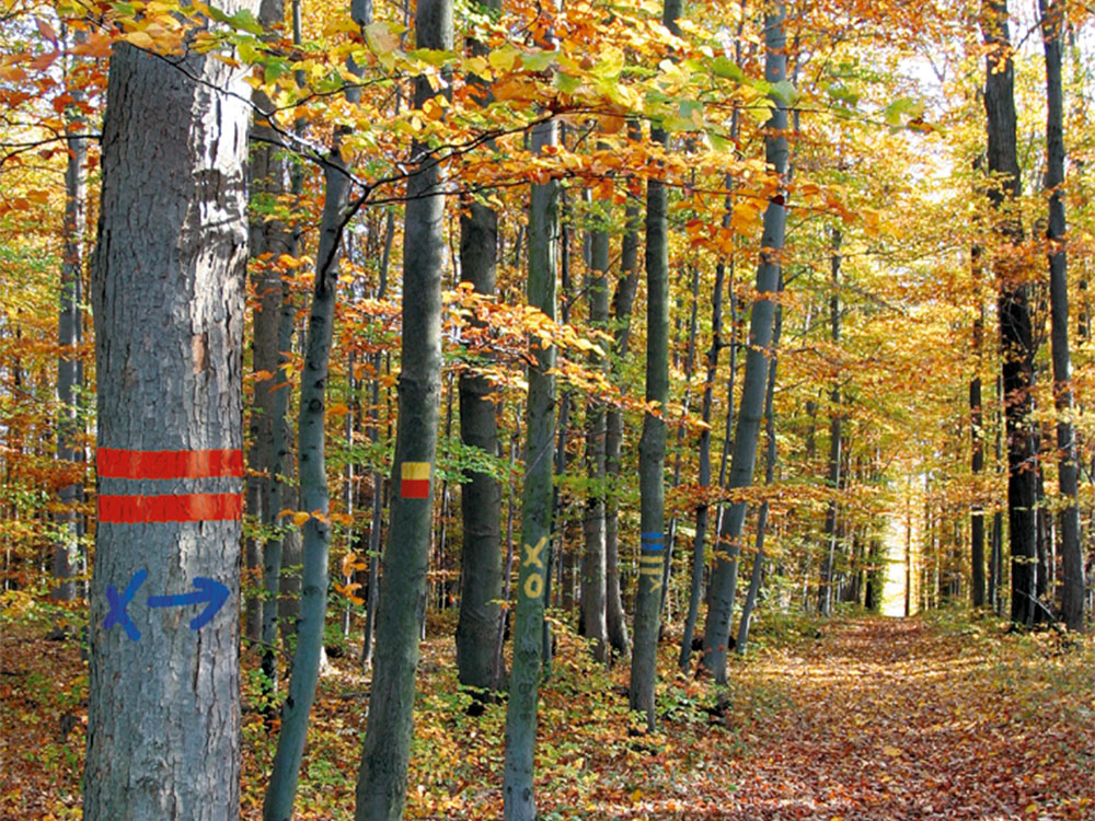 SELECT Langzeitmarker,Einzeldose, Farbe: blau