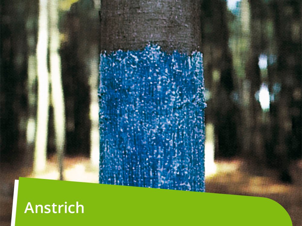 WÖBRA®  mechanischer Langzeitschälschutz