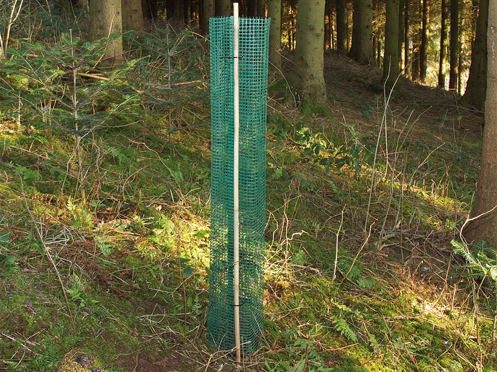 Plant Saver® "FREIWUCHSGITTER HQ"