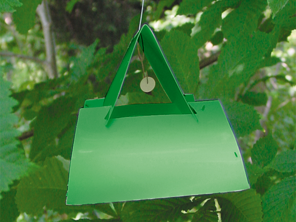 Pheromon zur Anlockung von Schmetterlingen