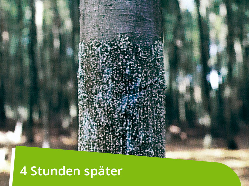 WÖBRA®  mechanischer Langzeitschälschutz