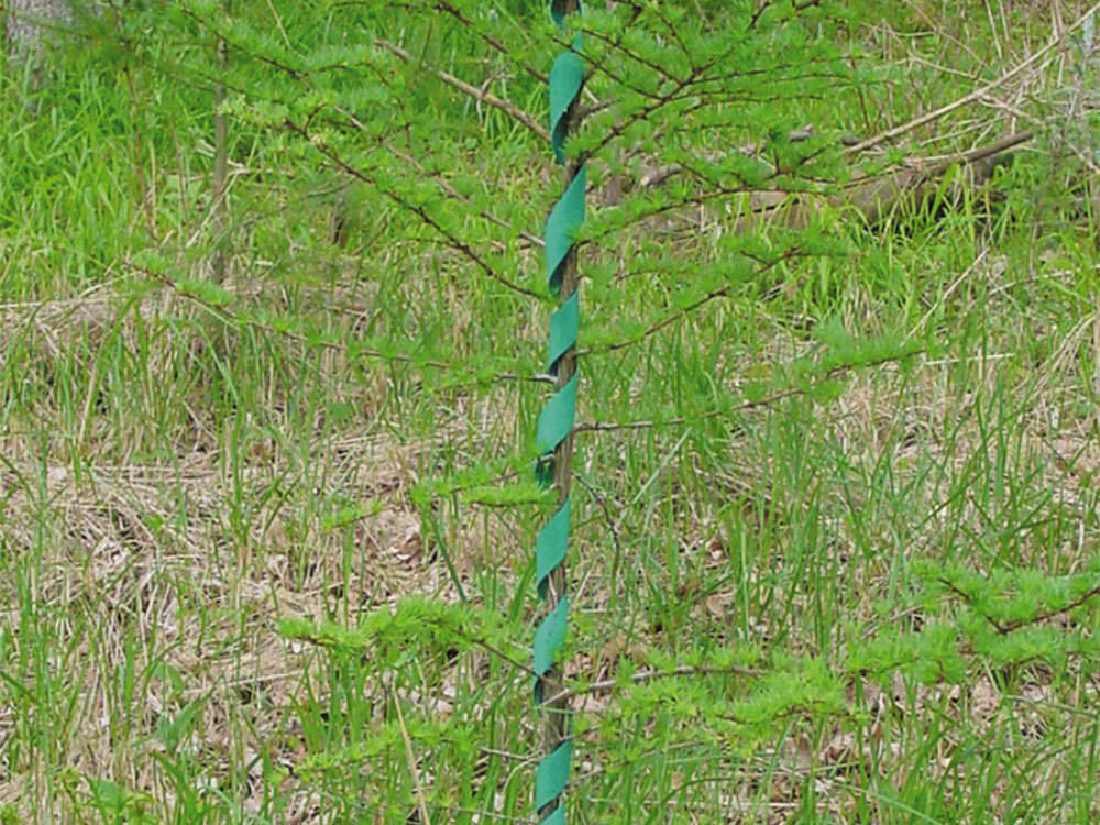 PLANT SAVER® "Nadelholzspirale"