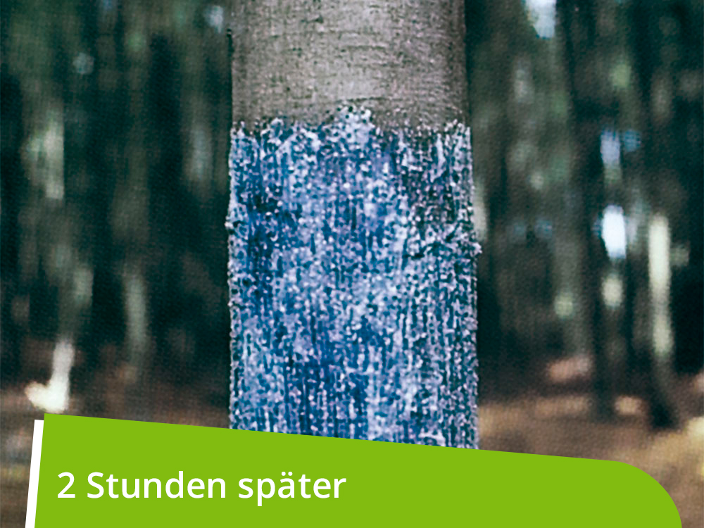 WÖBRA®  mechanischer Langzeitschälschutz