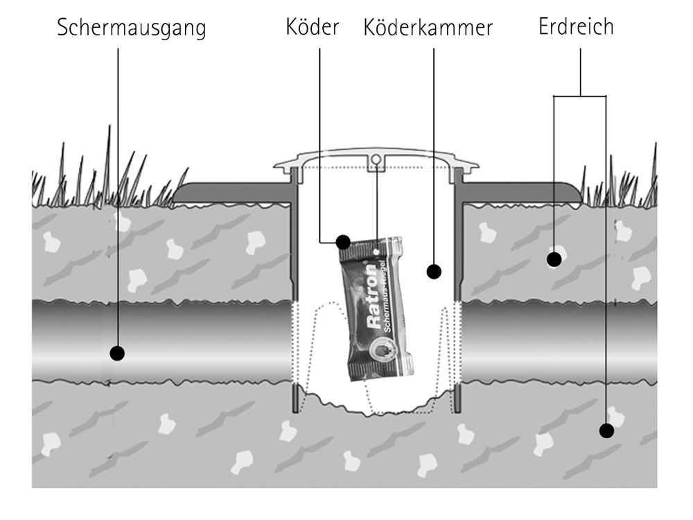 Köderstab "ARVICO - TOX"