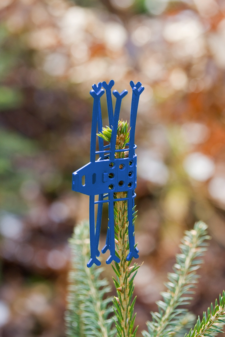 Terminalschutz "CACTUS"