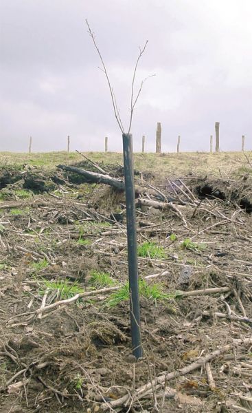 PLANT SAVER Netzmanschette "Net Protect"