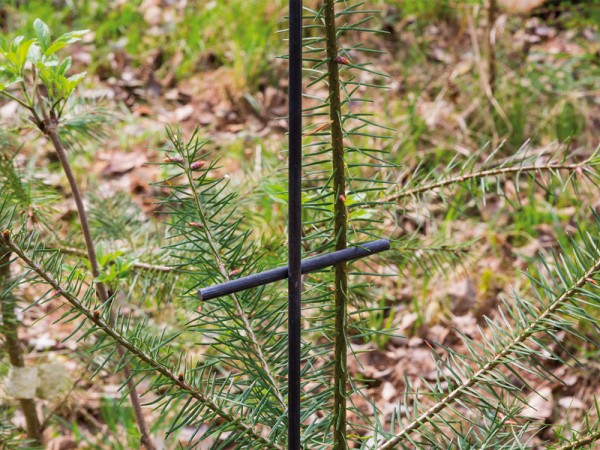 Fegeschutzstab Kärnten