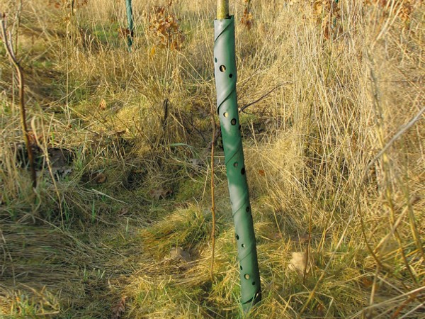 Fegeschutzspirale "Forst" 60 cm
