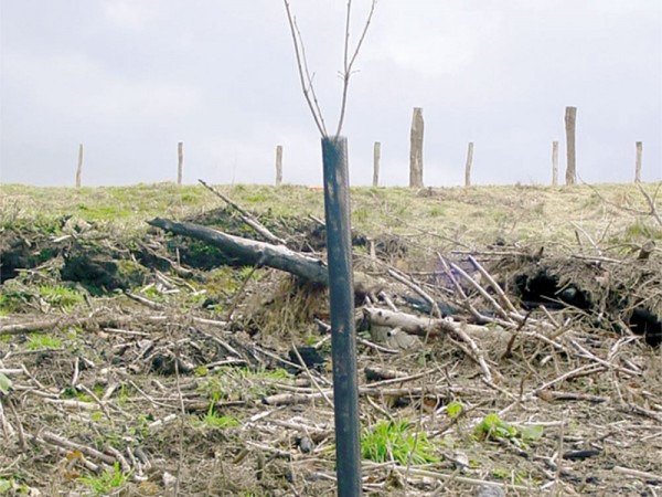 Plant Saver® Netzmanschette "Net Protect®"