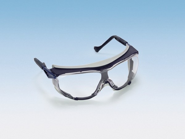 Schutzbrille skyguard