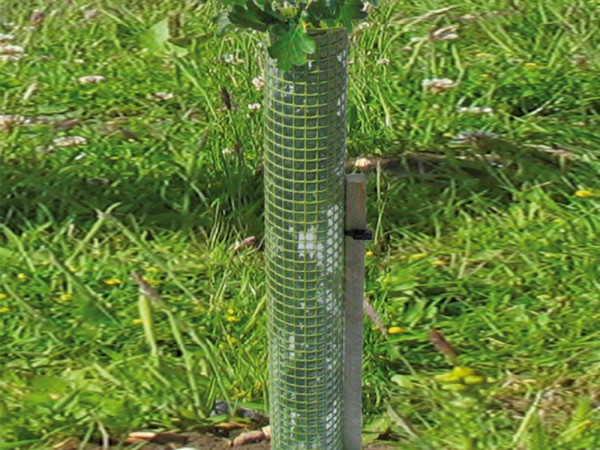 10x Shelterguard Clear Baumschutzröhre Verbissschutz Fegeschutz 1.5 m Ø 80-110mm 