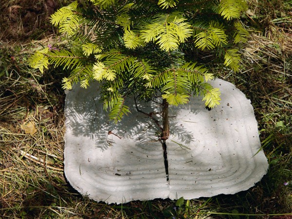 ECOpulp Mulchplatte