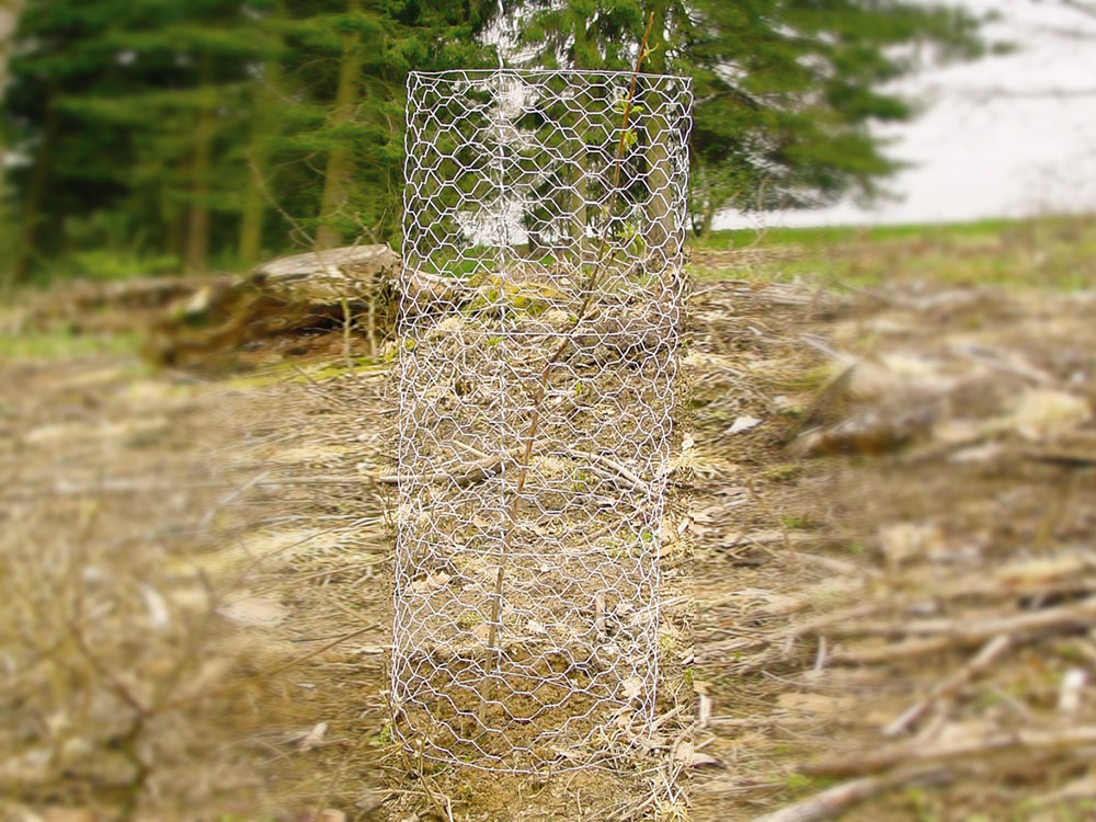 PLANT SAVER® Baumschützer aus Sechseckgeflecht Verbissschutz