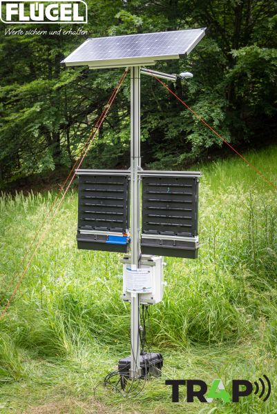 TR4P die smarte Borkenkäferfalle
